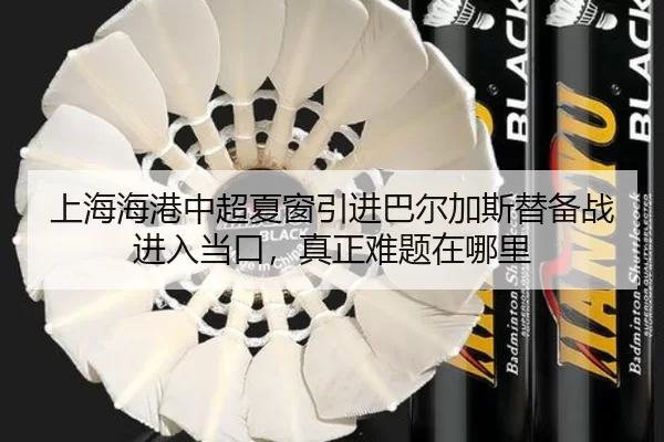shang-hai-hai-gang-zhong-chao-xia-chuang-yin-jin-ba-er-jia-si-ti-bei-zhan-jin-ru-dang-kou-zhen-zheng-nan-ti-zai-na-li-3-940.jpg